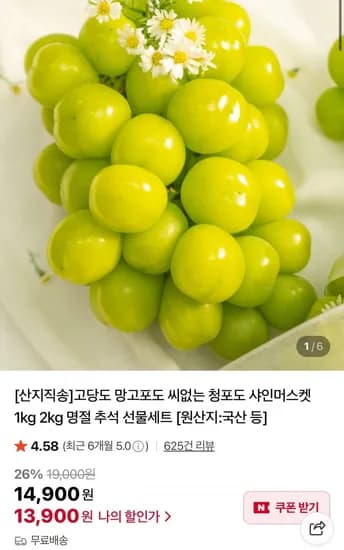 샤인머스캣 4~5수 4kg