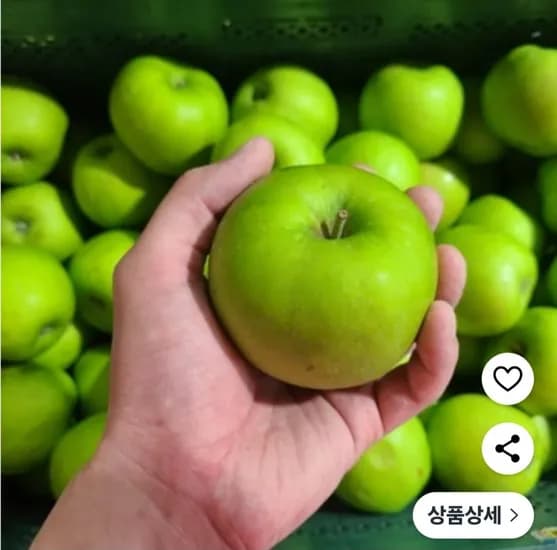 세척 아오리사과 2kg