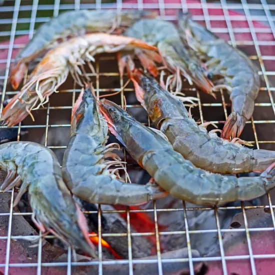 활새우 1kg 23~26미
