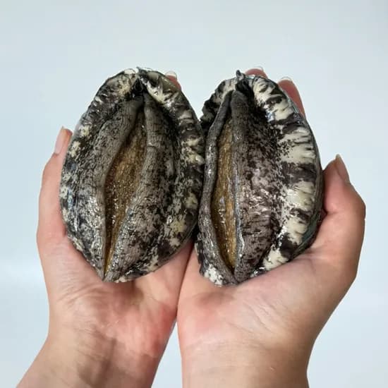 완도 활전복 1kg 7-8미