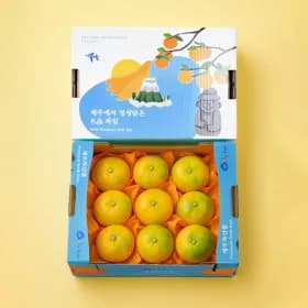 제주 고당도 하우스 황금향 선물세트 2kg 로얄과 8-13과