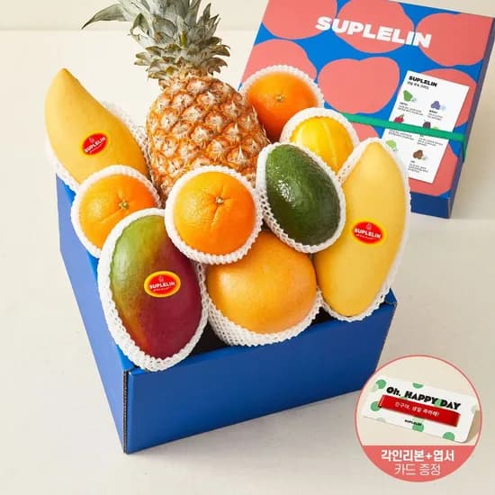 수플린 자르뎅 1호 혼합과일 선물세트 3.1kg
