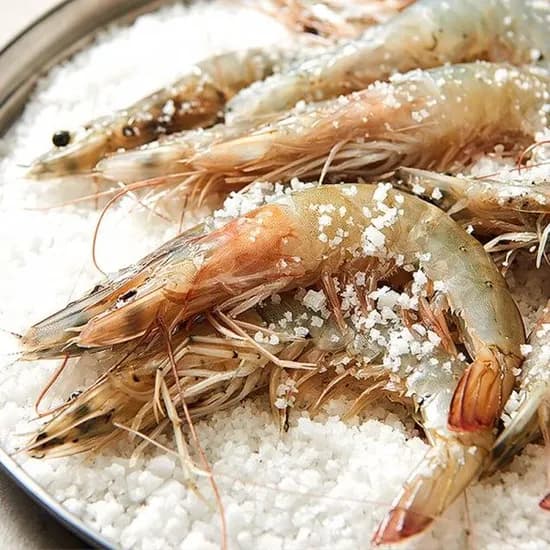 신안 활 흰다리새우 1kg 30미 내외