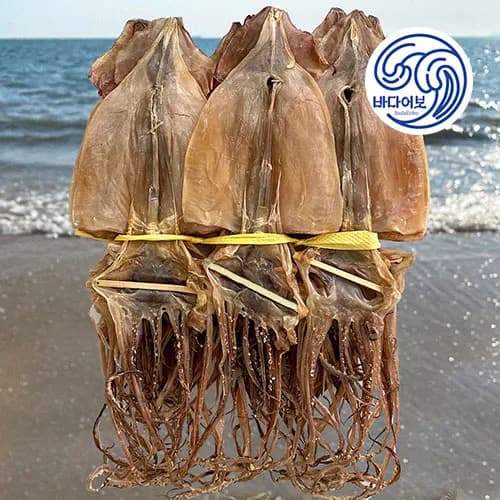 오동통 오징어다리 통족 1kg(13,758)_껍질제거 마른오징어 몸통 250g(8,796원)/무료