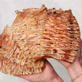 리얼 맥반석 통오징어 240g