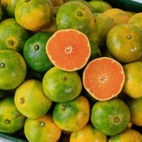 제주 햇조생감귤 로얄과 4.5kg