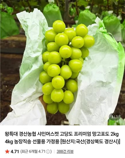 경산농협 샤인머스캣 실속형 2kg