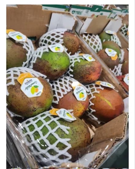 애플망고 4kg 7-9과