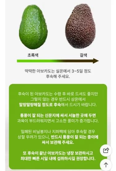 아보카도 대과 4kg