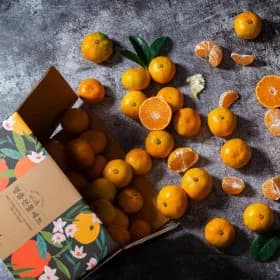 햇감귤 극조생감귤 4.5kg 로얄과