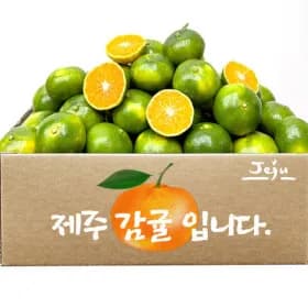 노지감귤 5kg 로얄과