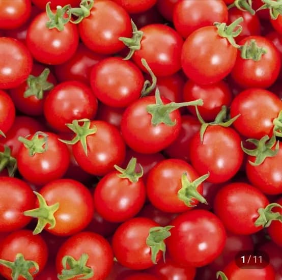 네이버멤버십_ 대추 방울토마토, 몬스터크랩, 냉장 닭안심살, 마니커 미니돈까스, 지퍼락 지퍼백 등 (다양/무료)