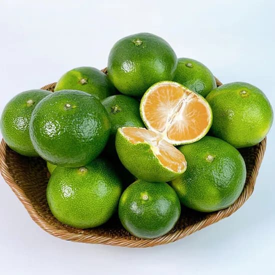 제주감귤 4.5kg S-M