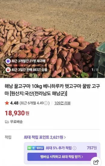 해남 꿀고구마 10kg 특품