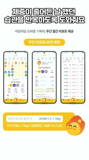 백번 앱연동 스마트 체중계
