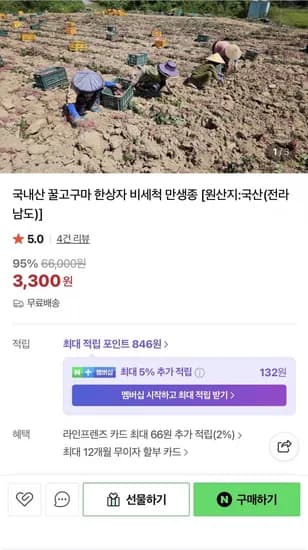 국내산 꿀고구마 900g