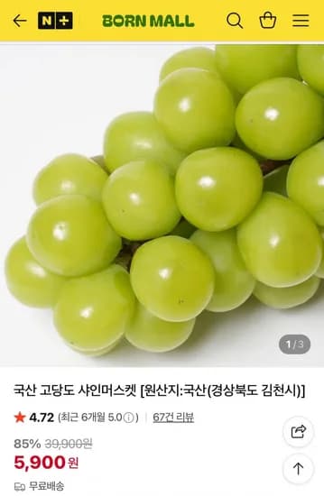 국산 고당도 샤인머스켓
