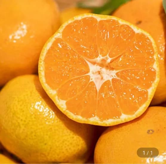 노지감귤 5kg 로얄과