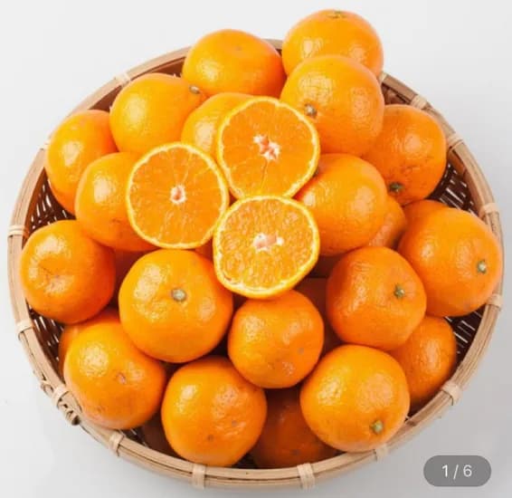 제주 감귤 극조생 대과 L-2L 9kg