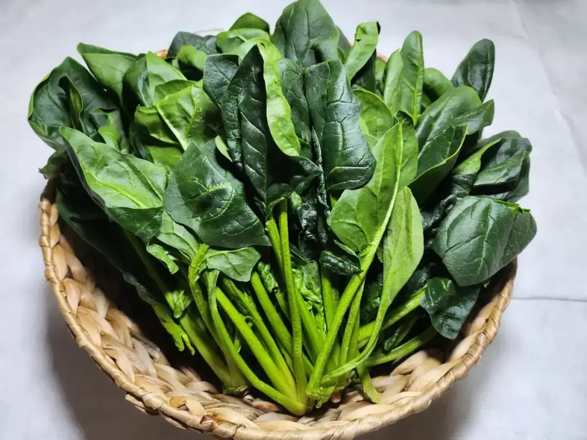 시금치 800g