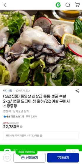 통영산 최상급 생굴 햇굴 속살 2kg