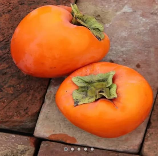 대봉감 2kg 중소과
