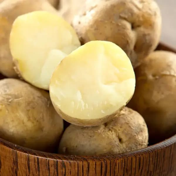 햇 감자 3kg