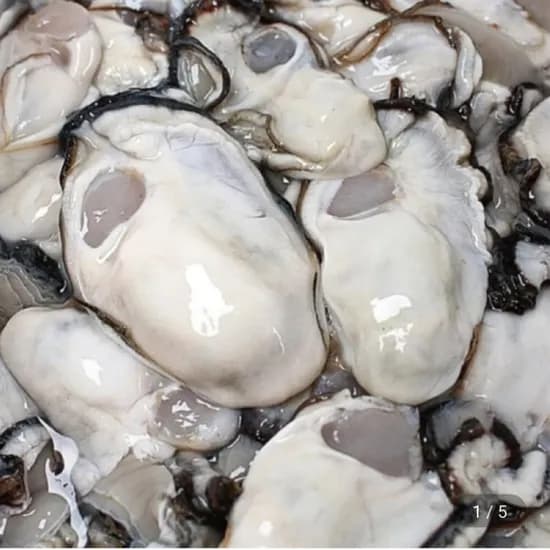 통영 생굴 1kg