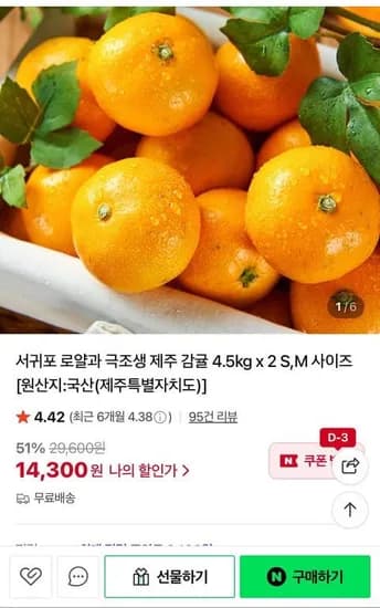 극조생 제주 감귤 4.5kg x 2