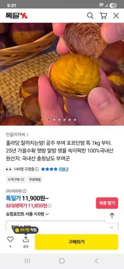 공주 부여 포르단밤 1kg