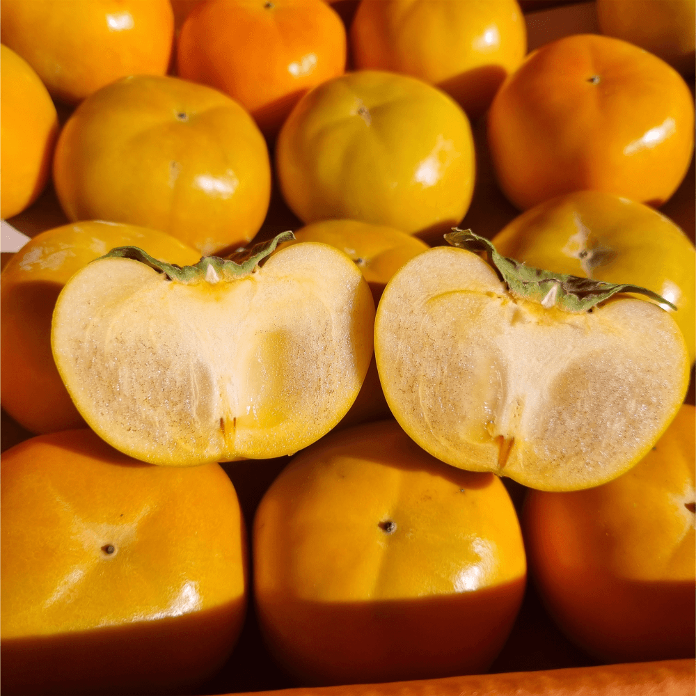 부유 고당도 단감 5kg