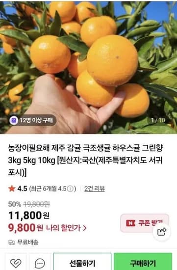 제주 감귤 5kg