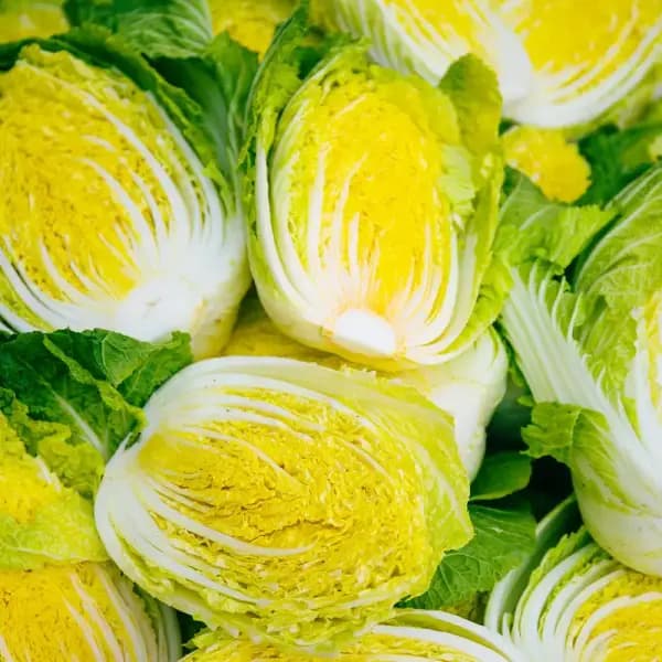 해남절임배추 김장 절임 배추 0kg