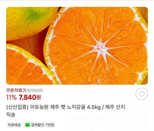 아토농원 제주 햇 노지감귤 4.5kg
