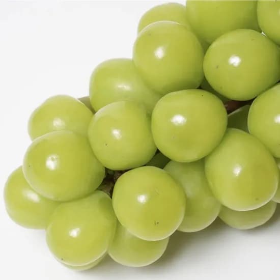 국산 고당도 샤인머스켓 1.4kg