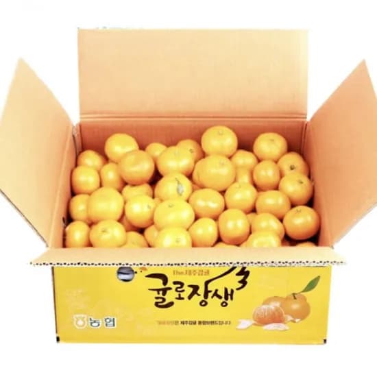 제주시농협 귤로장생 햇 노지감귤 4.5kg
