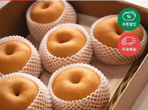 나주햇배 3kg