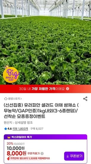 무농약 유러피안 샐러드 1kg내외 3~6종랜덤