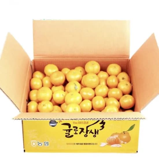 귤로장생 햇 노지감귤 4.5kg