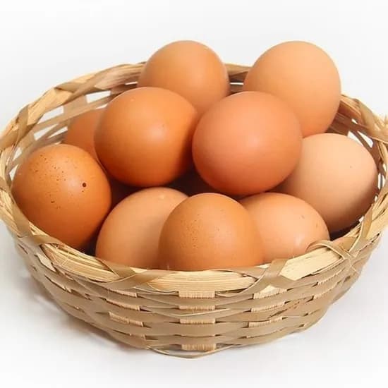 에그온 난각번호1번 무항생제 유정란 60구 40구