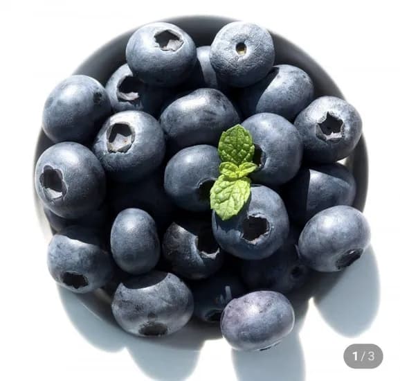 칠레산 블루베리 생과 6팩 750g