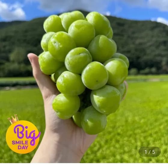 샤인머스켓 4kg 4-5수