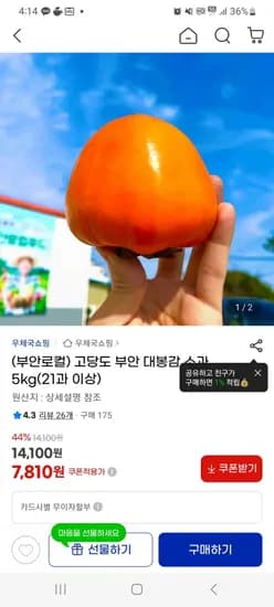 고당도 부안 대봉감 소과 5kg 21과 이상