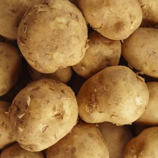 강원도 햇 수미감자 3kg