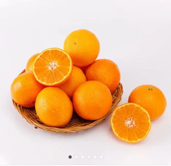 제주 극조생귤 4.5kg 대과 외 다양