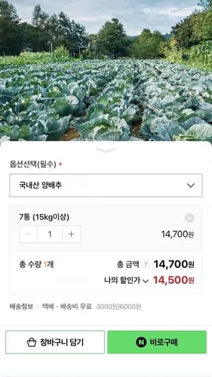 국산 유기농양배추 7통 15kg 이상