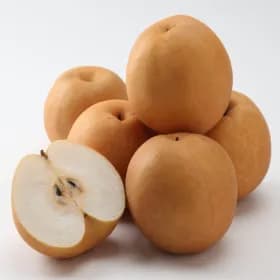 나주배 가정용 햇배 5kg 소과 14-18과 내외