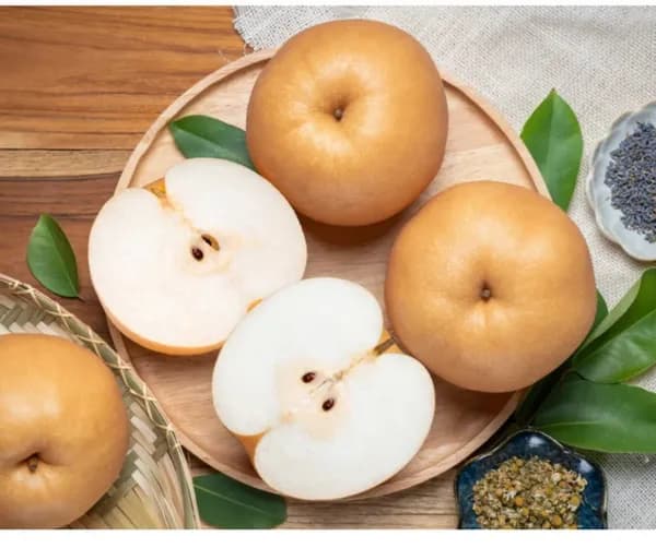 나주 신고배 5kg 8~2과