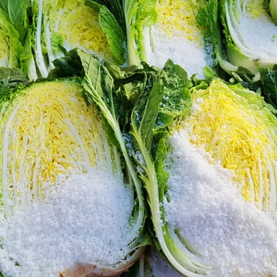 땅끝사랑 해남 절임배추 20kg 1박스