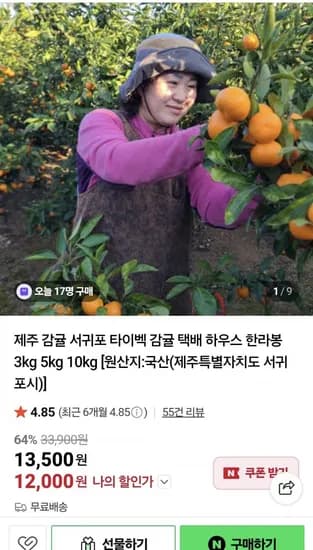 서귀포 노지 조생귤 로얄과 3kg